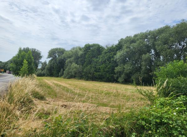 2 terrains à bâtir de 802 et 906 m². A SART-SAINT-LAURENT. 112.000,00 € et 117.000,00 €