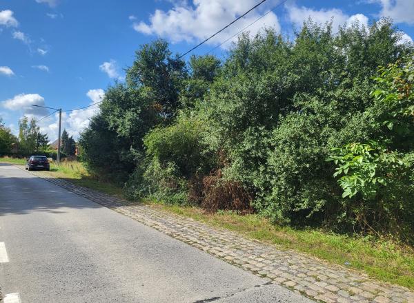 Un grand terrain plat de 3.172 m² avec un PUCG pour 6 maisons.
Idéalement situé à l'entrée du village et à 20' de VALENCIENNES et 25' de MONS.
6 maisons prêtes à construire.