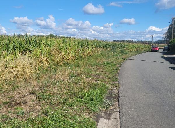 Un grand terrain plat avec un PUCG pour 4 maisons.
Idéalement situé à l'entrée du village et à 15' de MONS.
4 maisons prêtes à construire.