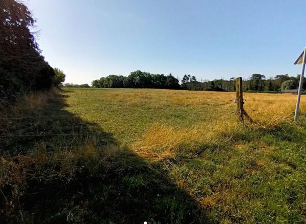 6 parcelles, de 65.000,00 € à 75.000,00 €. Dans un petit village près de Erquelinnes.