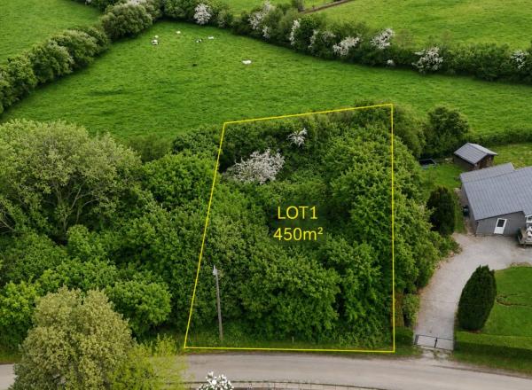 54.500,00 € Terrain dans une rue calme du village de MORVILLE dans l'entité de FLORENNES.
Constructeur exclusif : les Maisons Baijot.